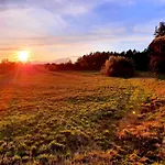 Walpusz - Mazurski Z Dusza Щитно