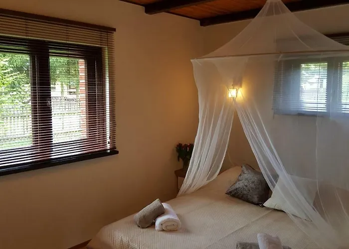 Walpusz - Mazurski Z Dusza Szczytno (Warmian-Masurian)