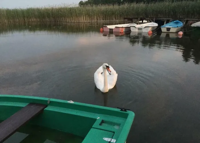 Walpusz - Mazurski Z Dusza Dom wakacyjny Szczytno (Warmian-Masurian)