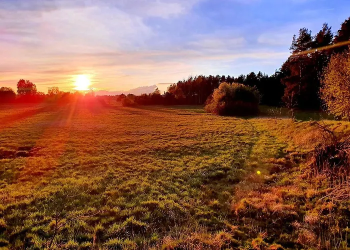 Walpusz - Mazurski Z Dusza Szczytno (Warmian-Masurian)