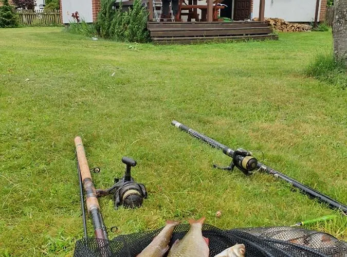 Walpusz - Mazurski Z Dusza * Szczytno (Warmian-Masurian)